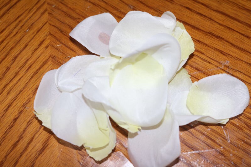 记得一定要清洗花瓣,放在一边晒干备用.