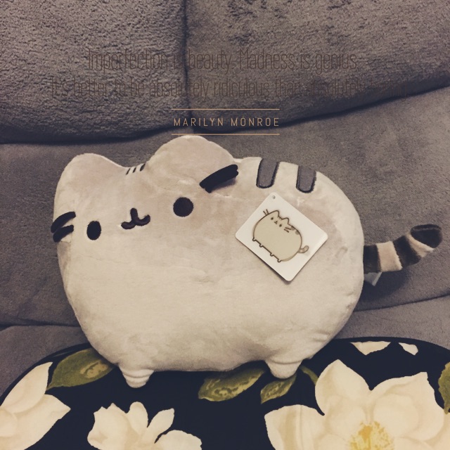 去购买一壶茶4超可爱啊～心都要化了～gund pusheen cat,看了北美君的