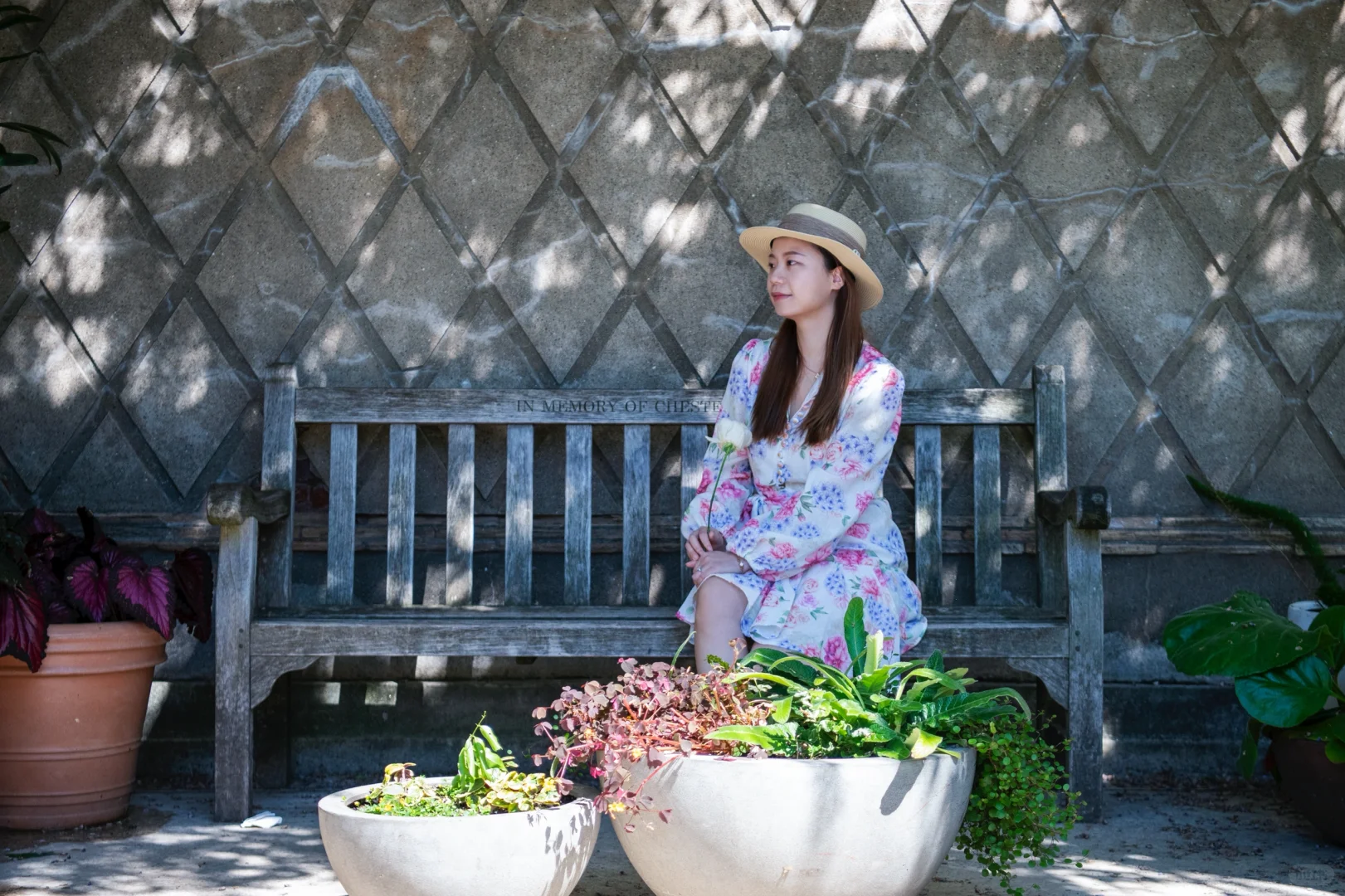 纽约约会💕穿越到古希腊绝美花园～free...
