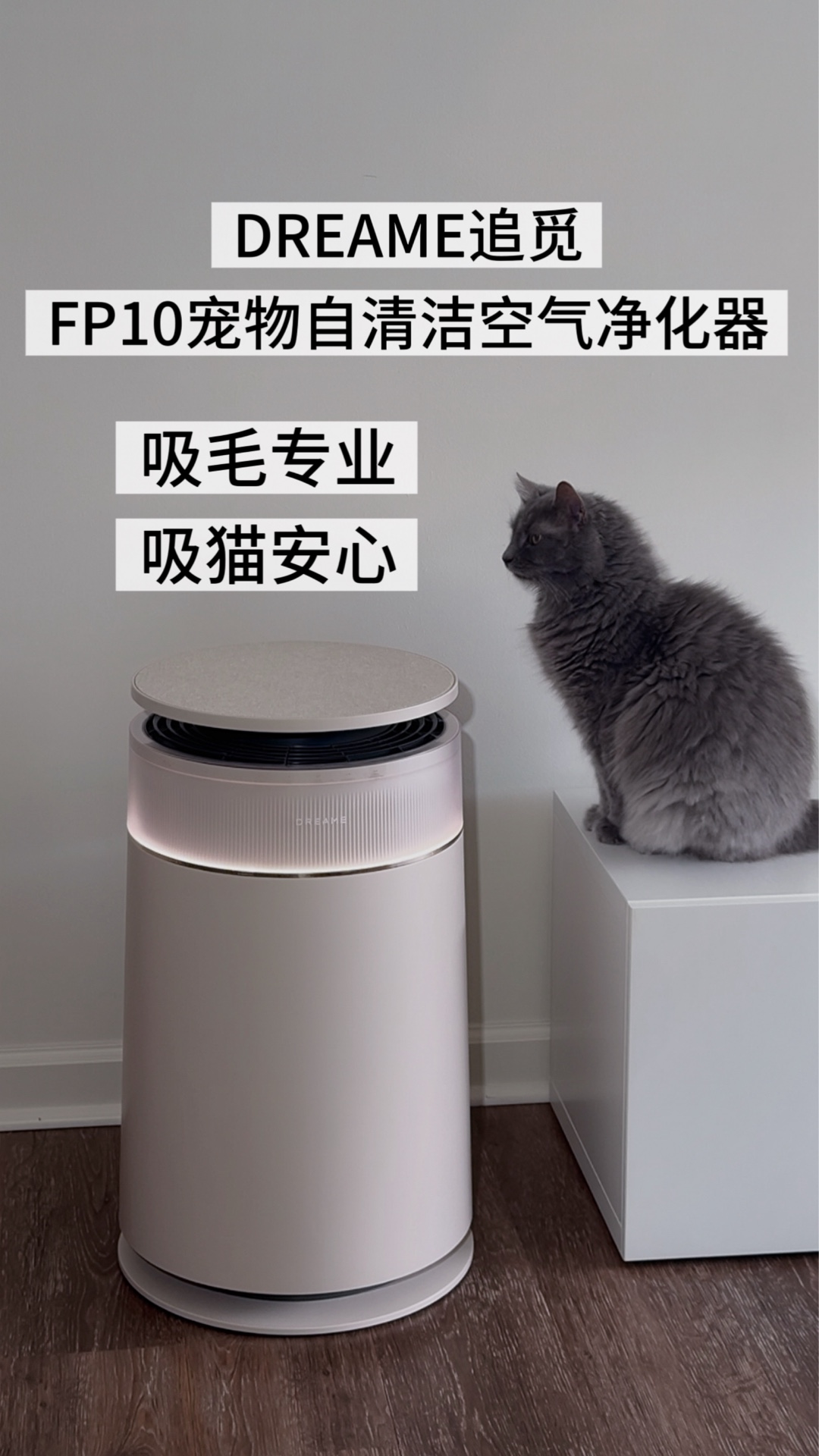 吸毛专业吸猫安心🐱DREAME追觅FP10宠物自清洁空气净化器