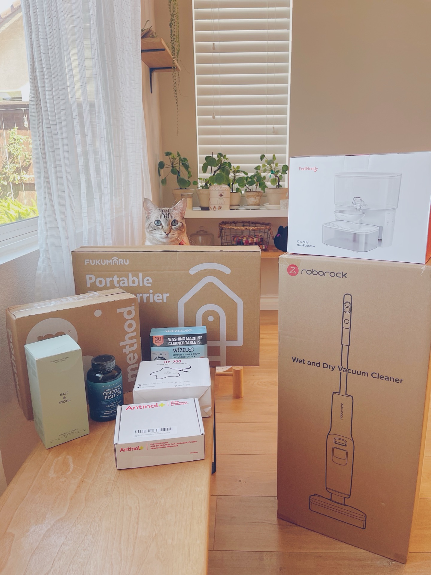 2026 Prime day戰利品開箱💙