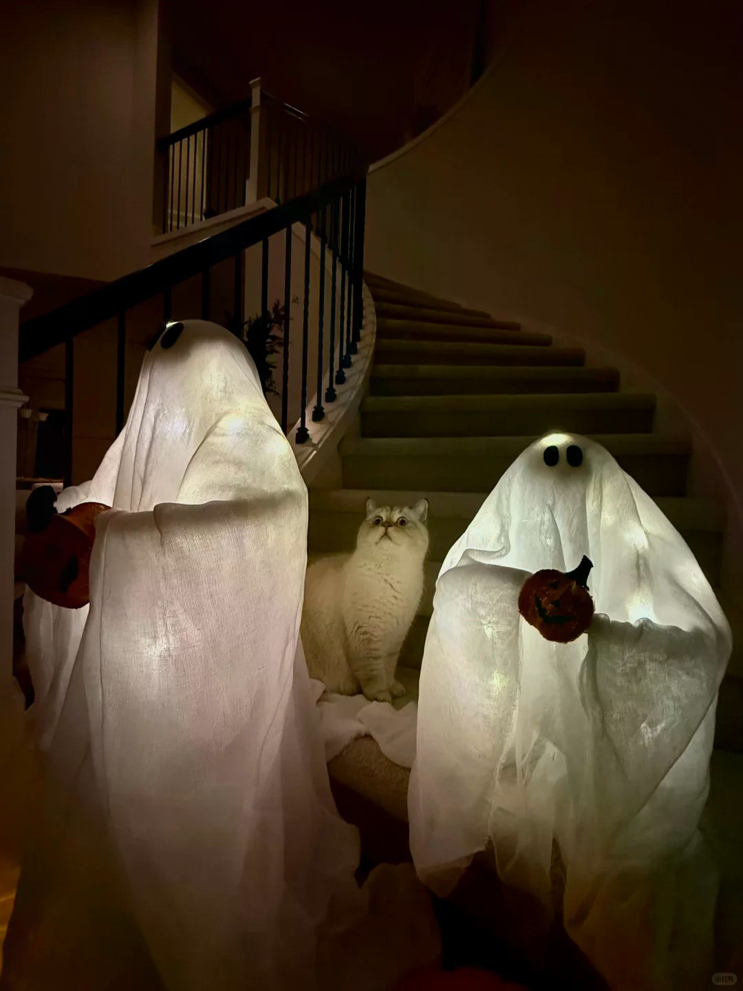 准备好过万圣节了👻🎃