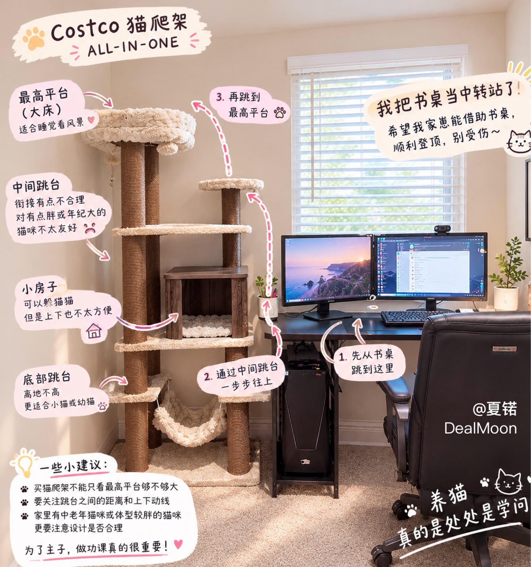 要命了‼️Costco买的猫爬架，拼完才发现设计不合理💔💔💔