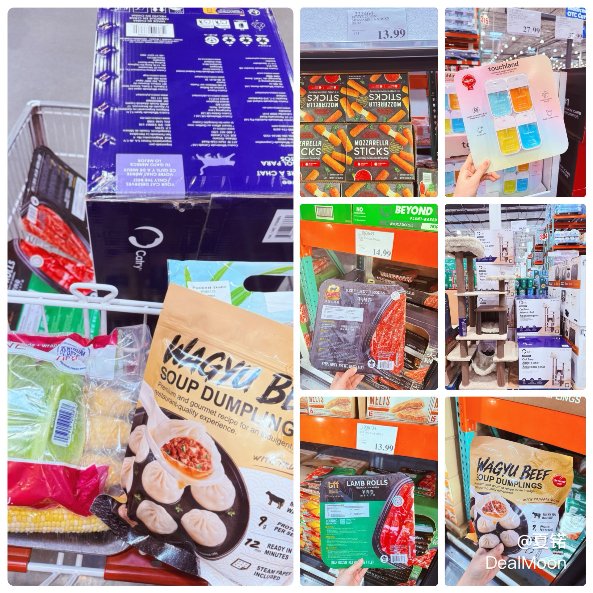 Costco购物分享🧾｜汤包、羊牛肉卷、芝士条和猫爬架都到手啦🛒🛍️