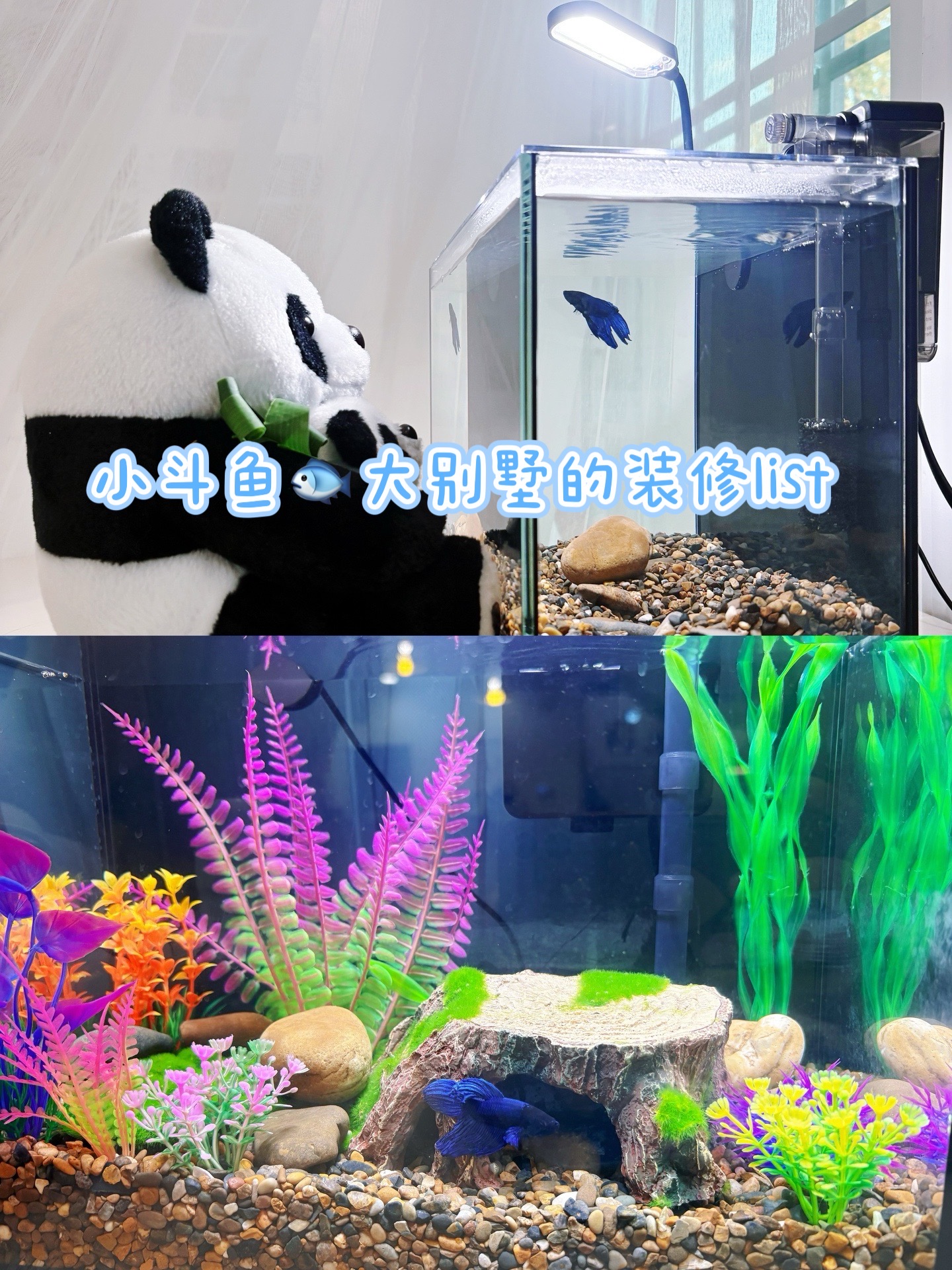 小斗鱼🐟大别墅的全部装修list & 进化过程
