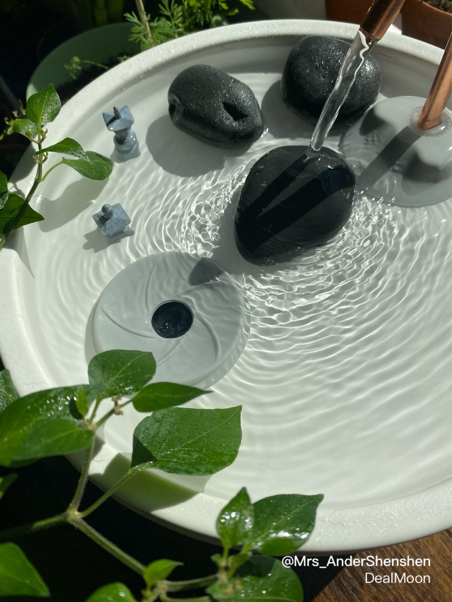 万事修禅｜把猫咪饮水机改造成禅意花园